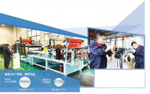 續(xù)寫春天的故事 黑龍江多措并舉營(yíng)造良好環(huán)境