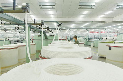 揮如椽巨筆 繪產業丹青